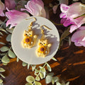 Sunflower Fat cats