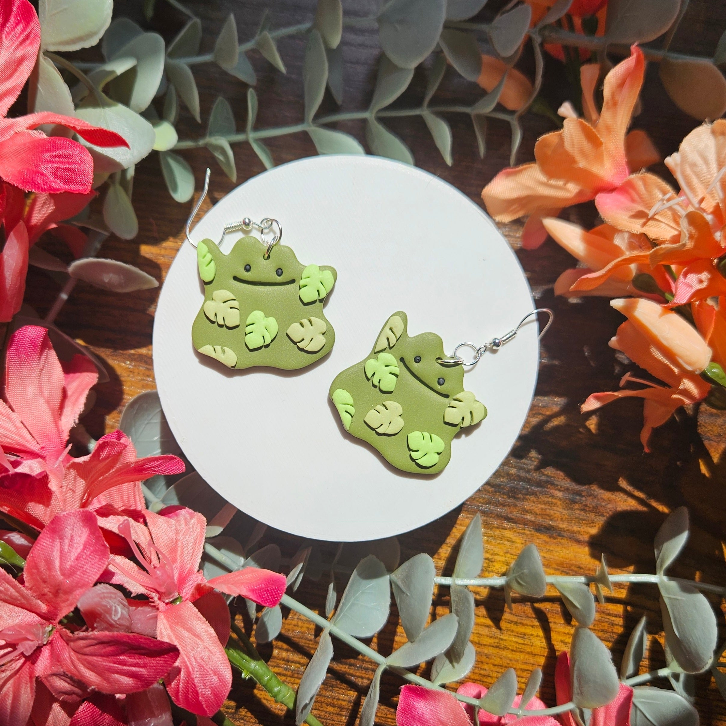 Monstera Ditto