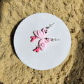 Summer Flamingos