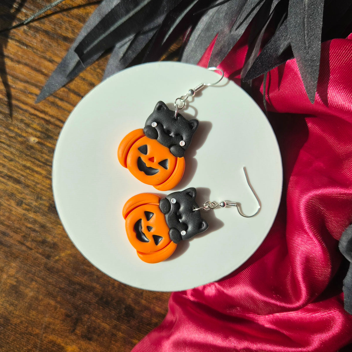 Cats in Pumpkins!